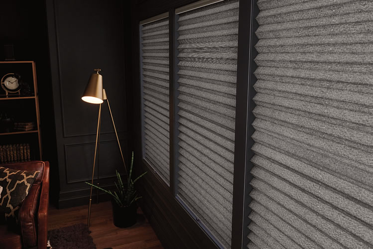 Pleated Window Shades Boise Window Coverings by Blind Appeal